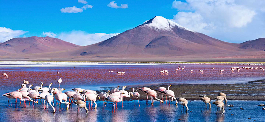 Laguna Colorada